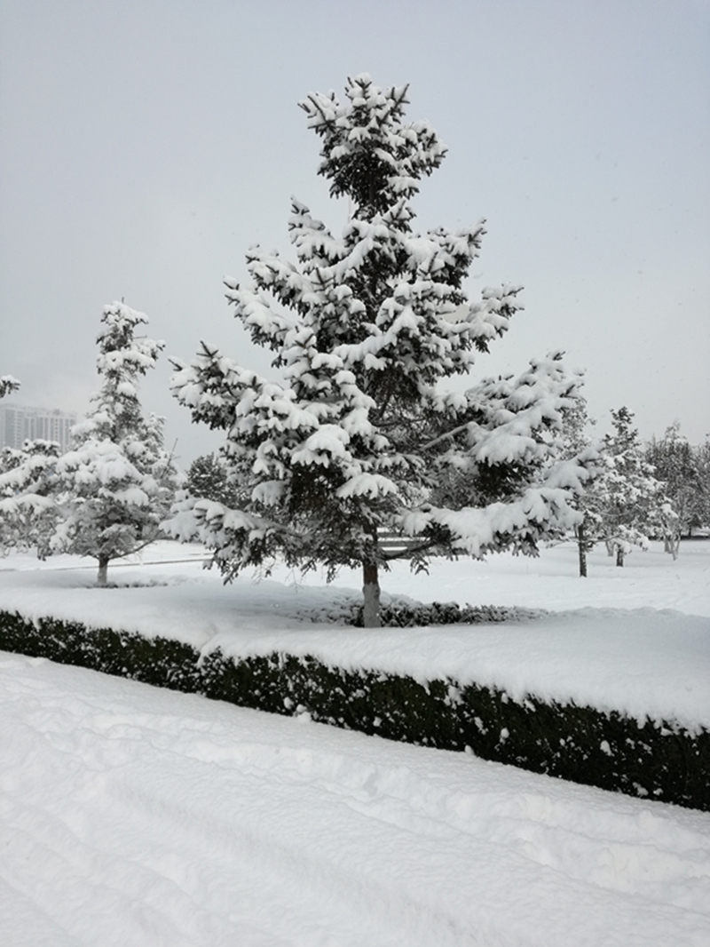 雪景 (8).jpg 雪景 (8).jpg