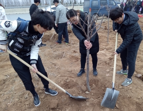 会计系.jpg 会计系.jpg